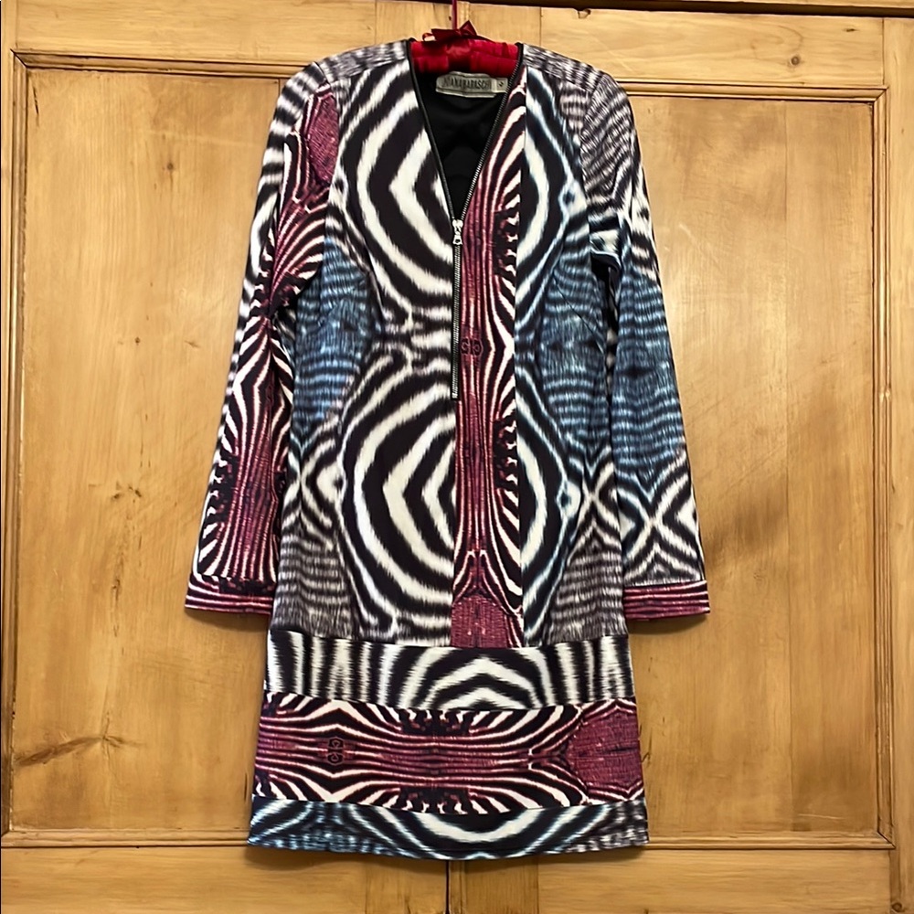 Yoana Barack’s Multicolor Patterned Dress with zipper front and cuffs